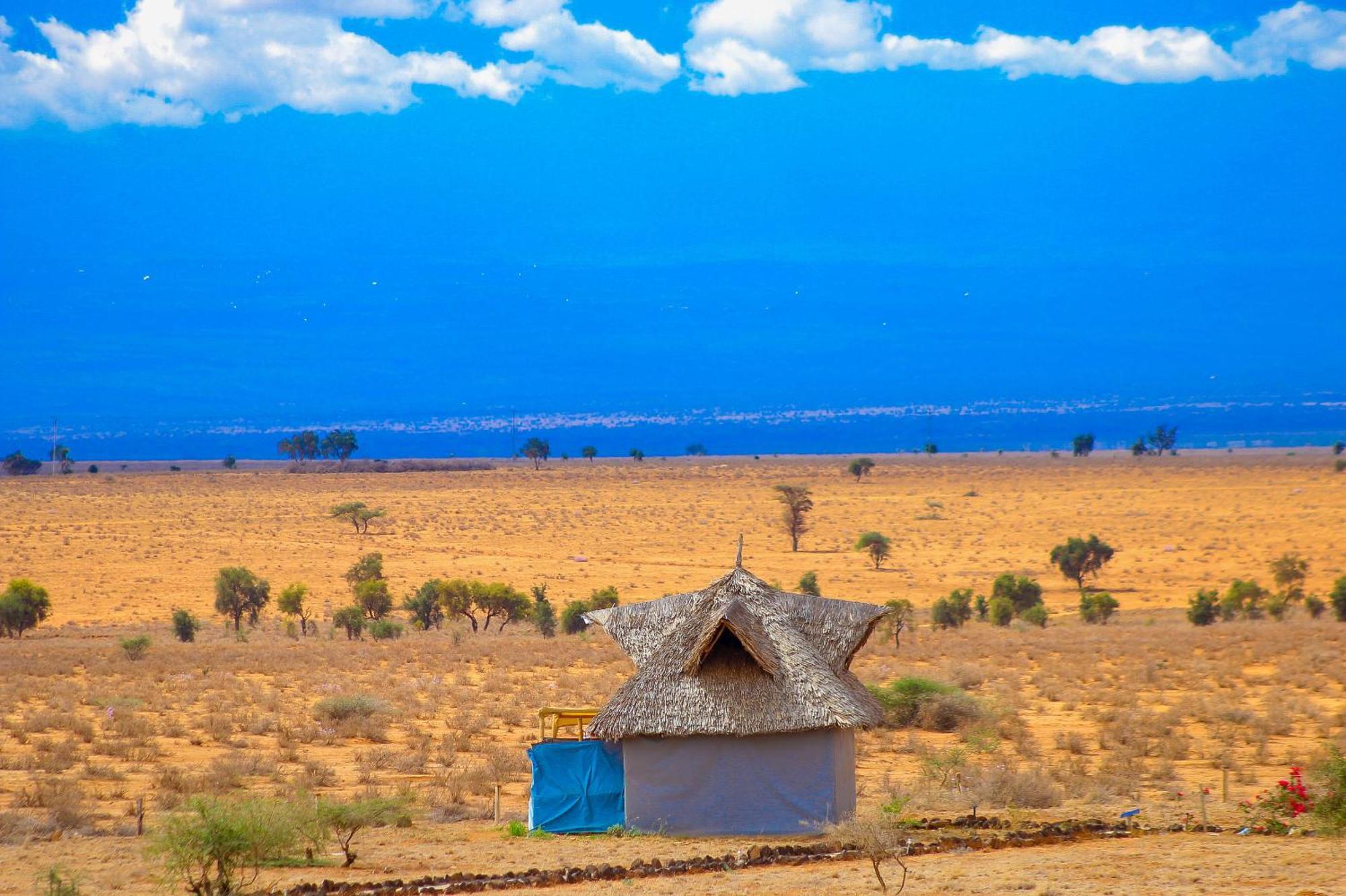 Little Amanya Camp Hotel Amboseli Eksteriør billede