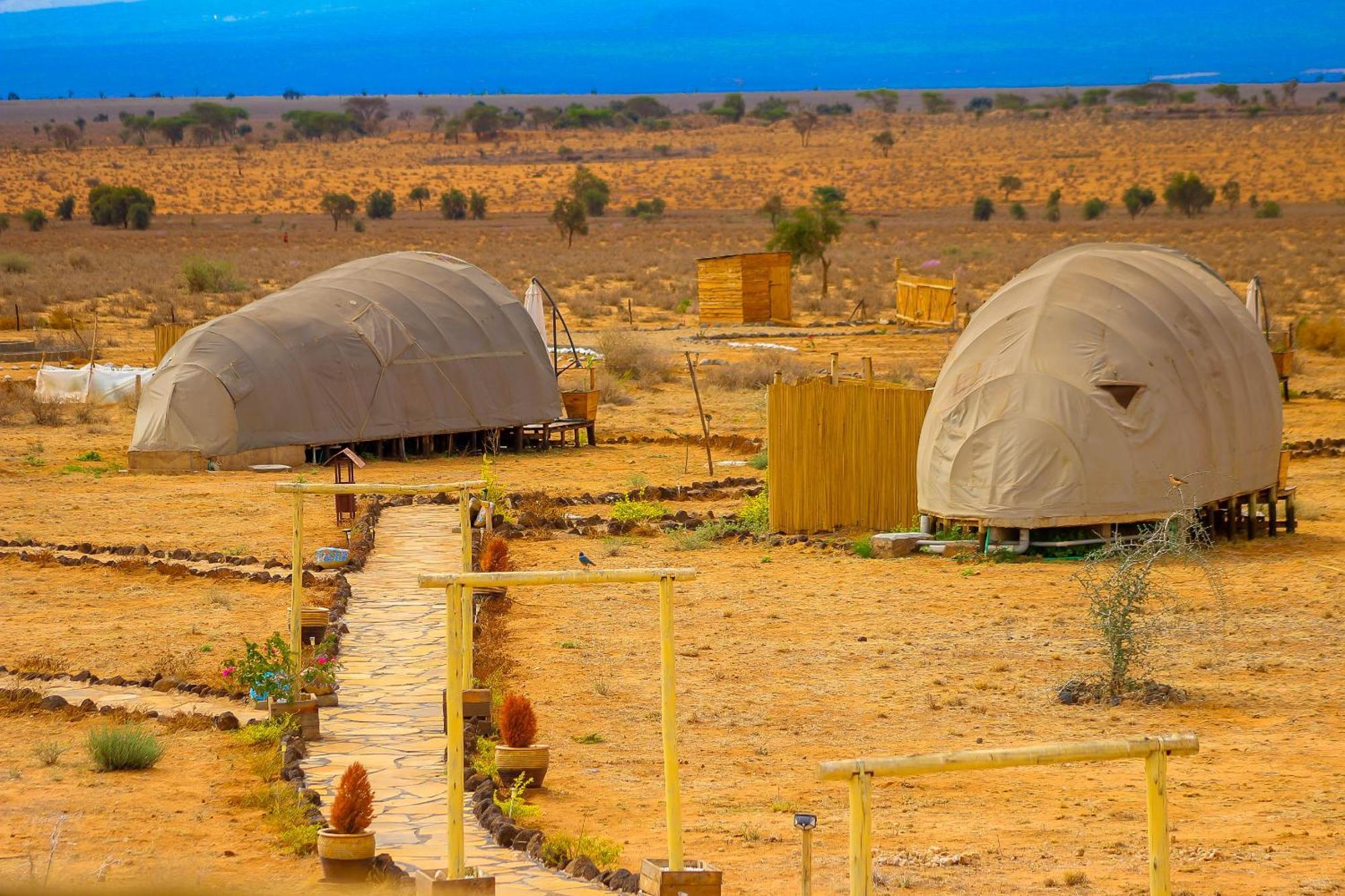 Little Amanya Camp Hotel Amboseli Eksteriør billede