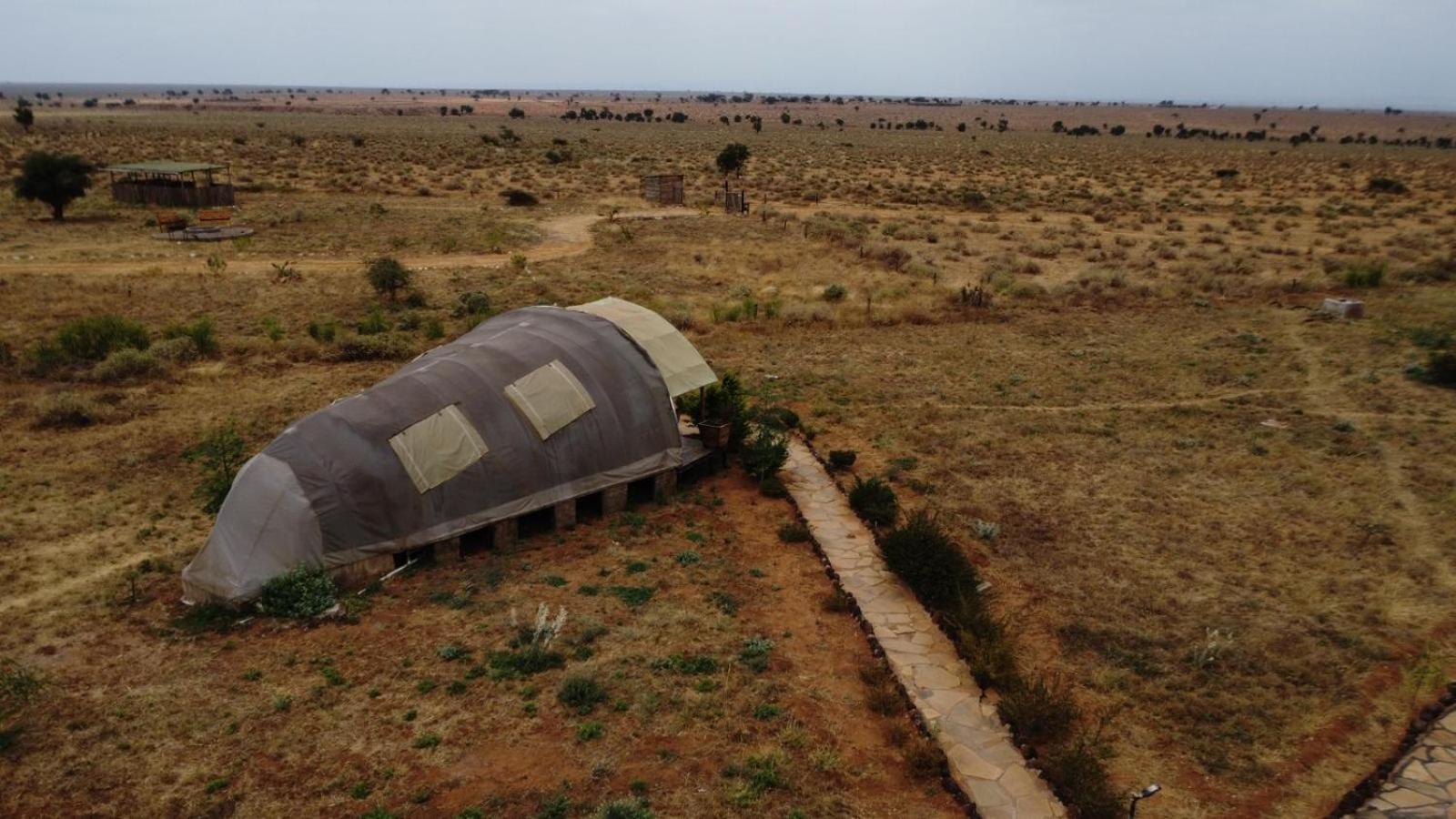 Little Amanya Camp Hotel Amboseli Eksteriør billede